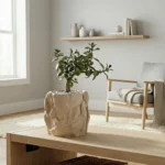 FOLIA – Pflanzgefäß mit Papieroptik – Bild 3