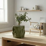 FOLIA – Pflanzgefäß mit Papieroptik – Bild 2